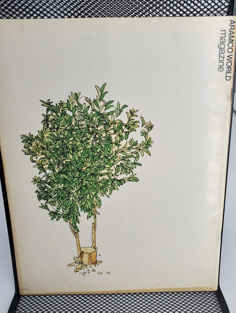 Saudi Aramco World Magazine Year 1978 - 4 Issues,  Tourism Culture (B1)